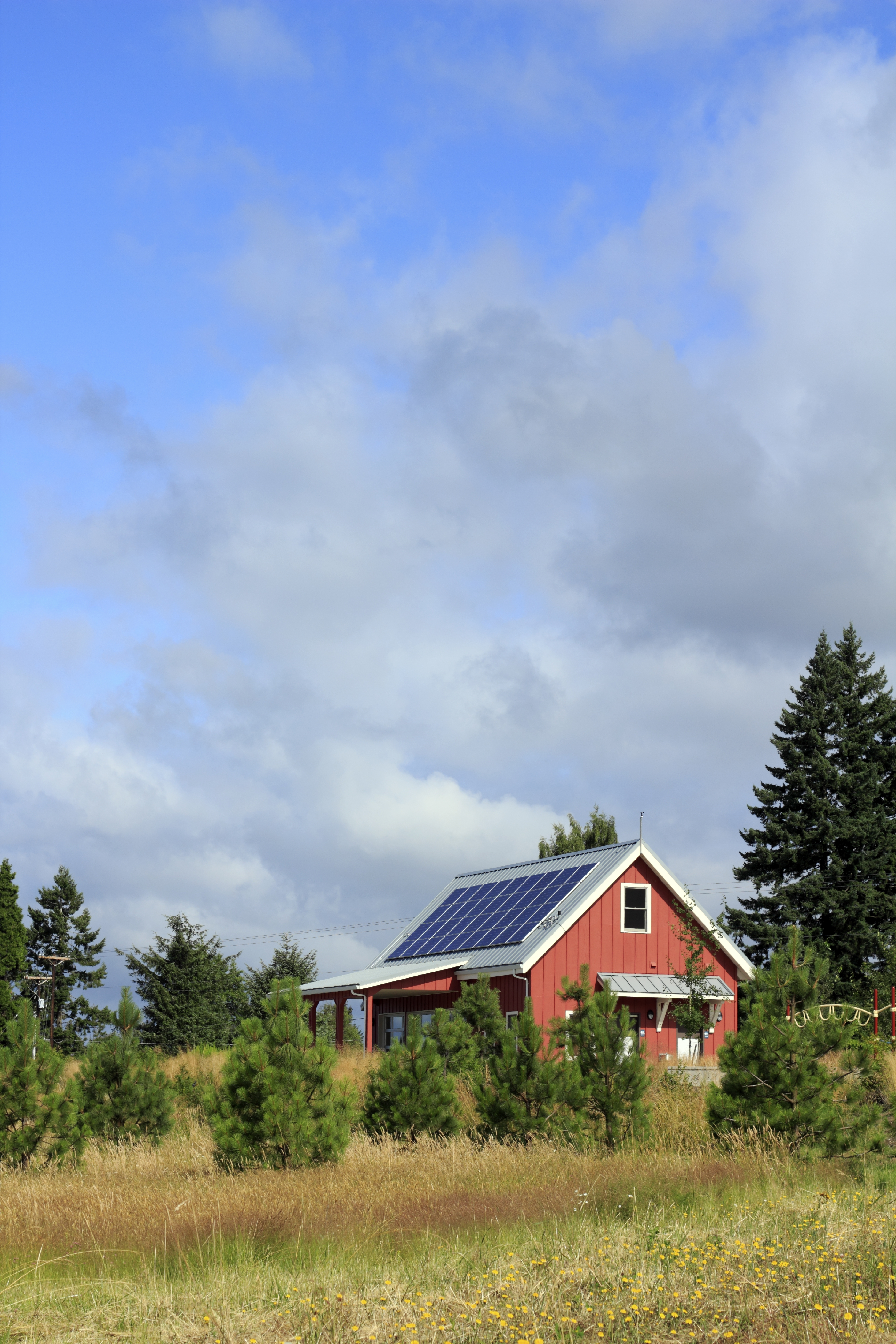 iStock_000043316462_Full